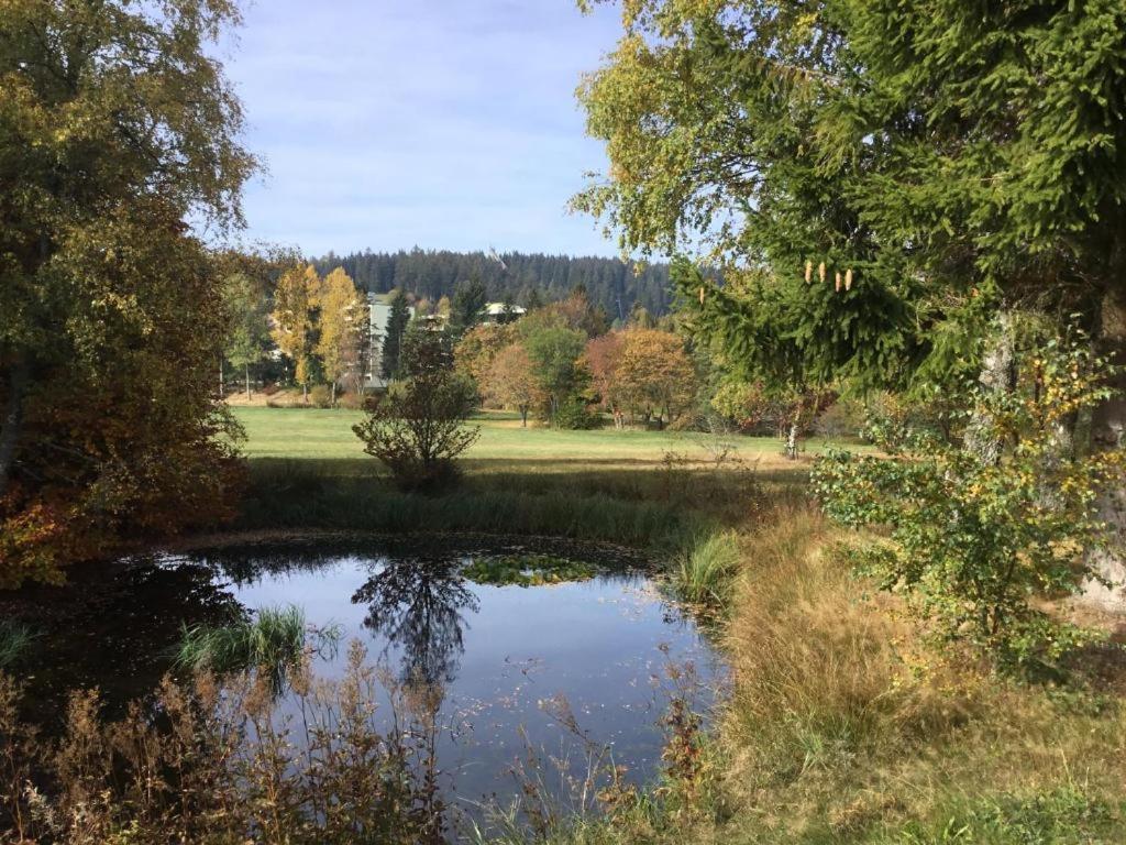 Apartment 358 Mit Sauna, Schwimmbad Und Fitness Schönwalde 外观 照片